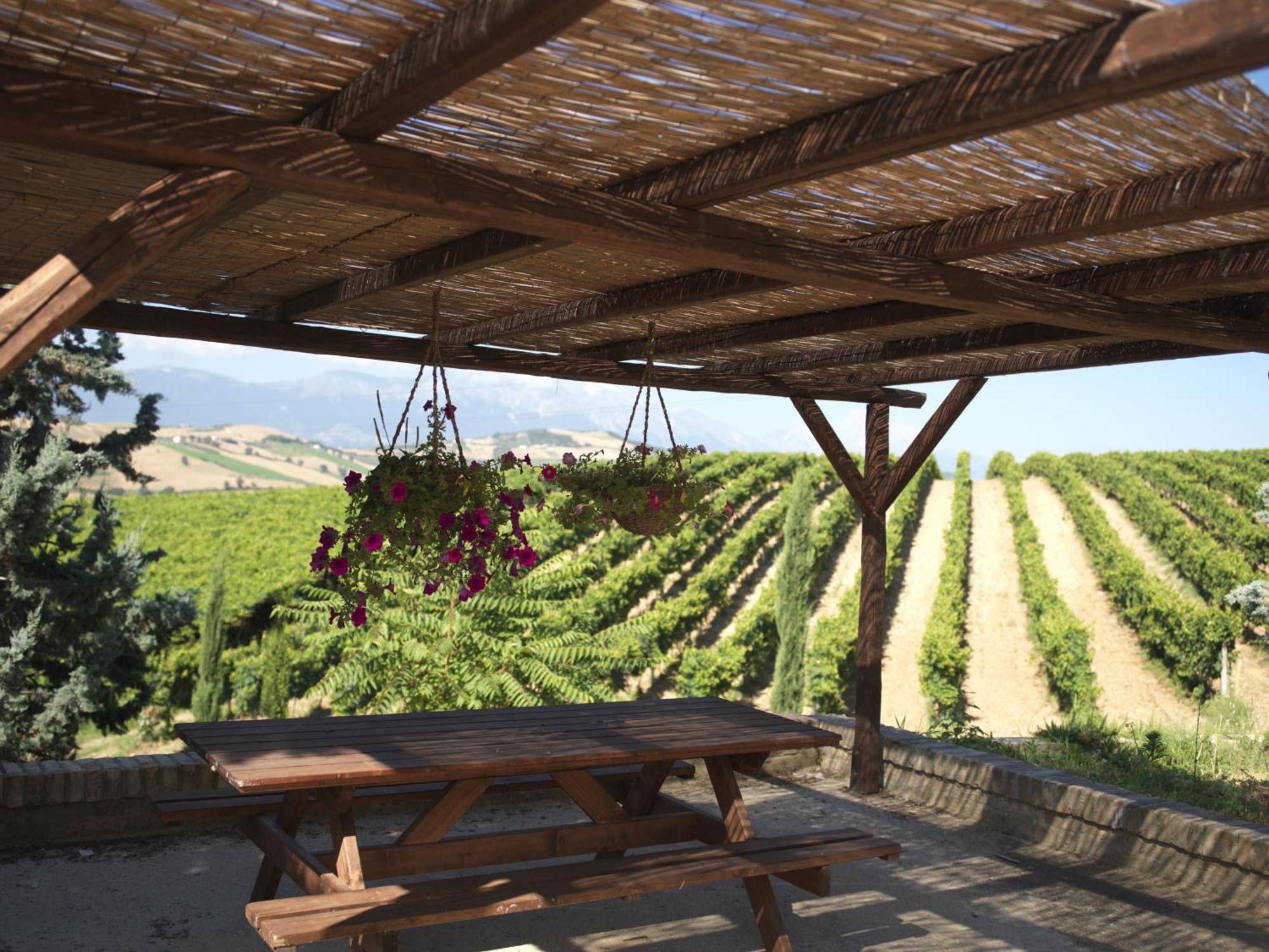 Contado San Lorenzo B&B And Wine Castilenti Buitenkant foto