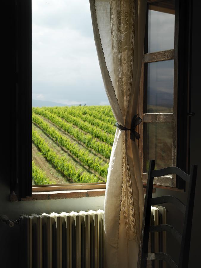 Contado San Lorenzo B&B And Wine Castilenti Buitenkant foto